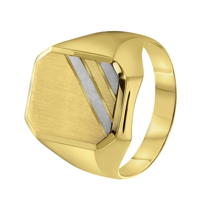 14 karaat gouden ringen heren | Lucardi Juwelier