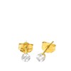 Ohrringe aus 585 Gelbgold mit 14 Diamanten, rund, 0,05 kt (1004343)