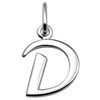 Zilveren  letterhanger D (1018483)