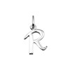 Zilveren  letterhanger R (1018497)