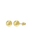 Goldplated oorbellen rond (1037324)