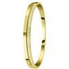 Gerecycled stalen armband bangle gold wit kristal (1057348)