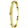 Stalen armband bangle gold wit kristal (1057348)
