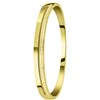 Stalen armband bangle gold light colorado kristal (1057349)