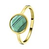 Zilveren ring gold Gemstone malachite (1058665)