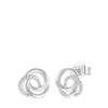 Zilveren oorbellen cirkels (1059370)