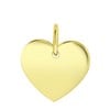 Zilveren hanger gold hart Mix&Match kettingarmband (1059923)
