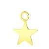 Zilveren oorbelhanger gold ster Mix&Match (1060825)