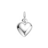 Zilveren hanger hart bol (34912656)