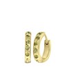 Ohrringe, Edelstahl, vergoldet, Geburtssteine (1064900)
