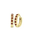 Ohrringe, Edelstahl, vergoldet, Geburtssteine (1064900)