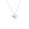 Zilveren ketting&hanger hart medaillon (1064074)