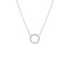 Stalen ketting rond (1064698)