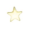 Gerecycleerd stalen goldplated charm ster (1064788)