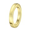 Goldplated ring plat smal (1009149)