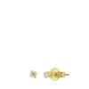 Tiny Tips stalen goldplated oorbellen zirkonia 2mm (1067330)