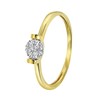 14 karaat geelgouden ring entourage 7 diamanten 0,06ct (1043158)