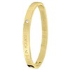 Guess stalen armband bangle goldplated Believe (1043905)