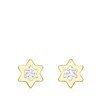 9 Karaat oorknoppen ster met zirkonia (1045224)