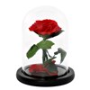 Everlasting Rose, mooie rode roos in stolp (1048732)