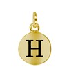Zilveren hanger alfabet goldplated (1048841)