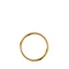 Helixpiercing, Ring aus vergoldetem Stahl (1050058)