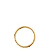 Stalen traguspiercing goldplated ring (1050106)