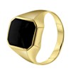 Onyx-Ring, sechseckig, 585 Gelbgold (1050265)