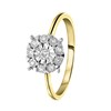 14 Karaat geelgouden ring met 10 diamanten 0,10ct (1056201)
