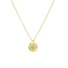 Goudkleurige bijoux ketting met hanger ster (1056385)