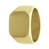 Gerecycled stalen goldplated zegelring vierkant (1067709)
