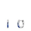 Zilveren oorringen zirkonia blauw (1068389)