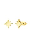 Stalen goldplated oorknoppen met ster (1067625)