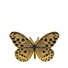 Goudkleurige bijoux broche vlinder (1069143)