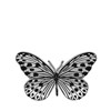 Silberne Modeschmuck-Brosche, Schmetterling (1069144)