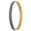 Stalen goldplated bangle met blauw (1069529)