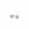 14 Karaat geelgouden oorbellen met kristal (1009050)