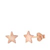 Ohrringe, 925 Silber, rotvergoldet, Stern der Galaxis (1041588)