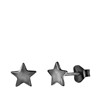 Silberne Ohrringe schwarz beschichtet Stern (1041589)