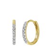 14 Karaat geelgouden oorbellen met diamant 0,15ct (1043118)