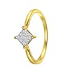 14 Karaat geelgouden ring met 9 diamanten 0,04ct (1043140)
