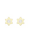 9 Karaat oorknoppen ster met zirkonia (1045224)