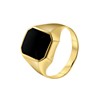 Onyx-Ring, sechseckig, 585 Gelbgold (1050265)