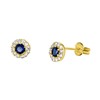 585 Gelbgold-Ohrringe mit weißem und blauem Zirkonia (1052385)