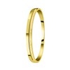 Gerecycled stalen armband bangle gold light colorado kristal (1057349)