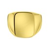 Goudkleurige bijoux zegelring (1057999)