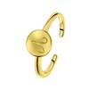 Zilveren ring disc gold sterrenbeeld (1055729)