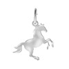 Zilveren hanger paard (1055854)