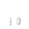 Zilveren oorbellen (1058837)
