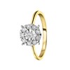 14 Karaat geelgouden ring met 10 diamanten 0,10ct (1056201)